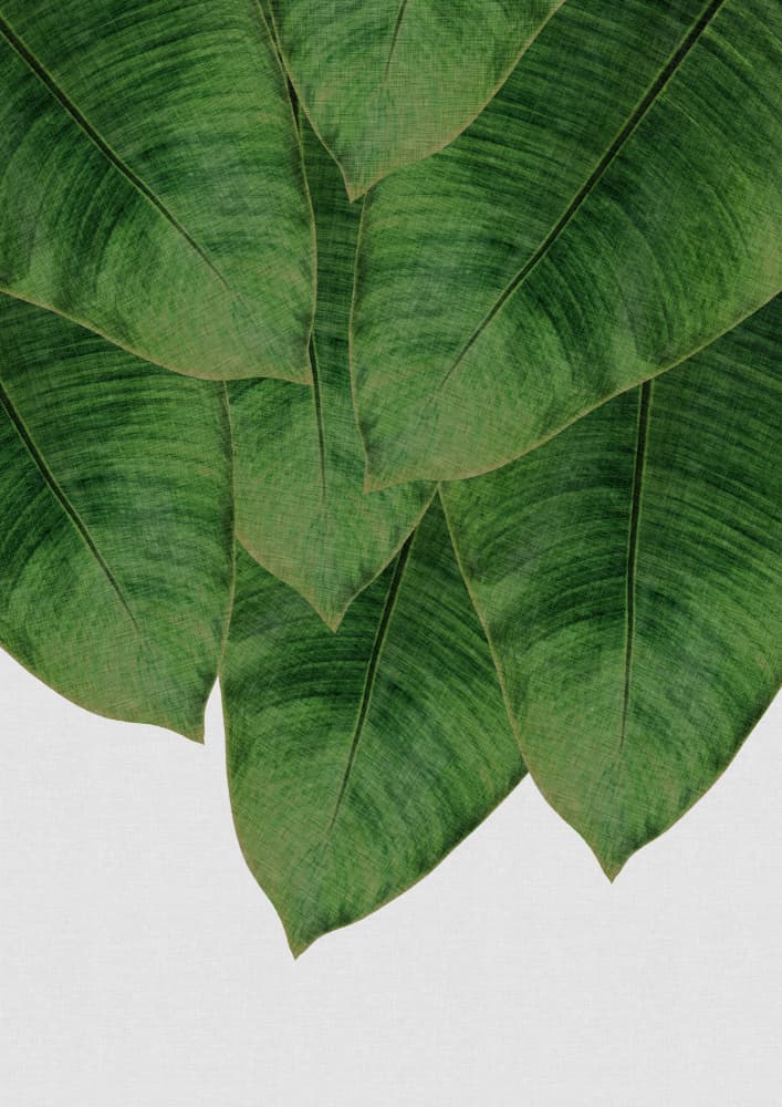 Lush Green Leaves by Orara Studio — canvas wall art
