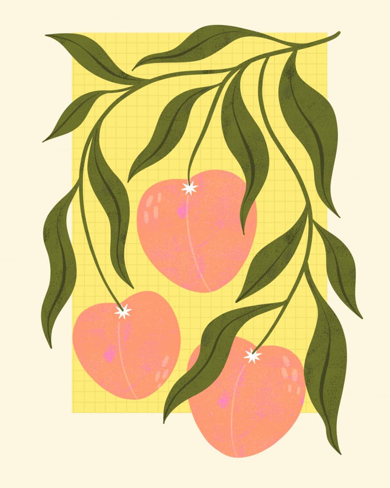 Peaches by Melissa Donne — canvas wall art
