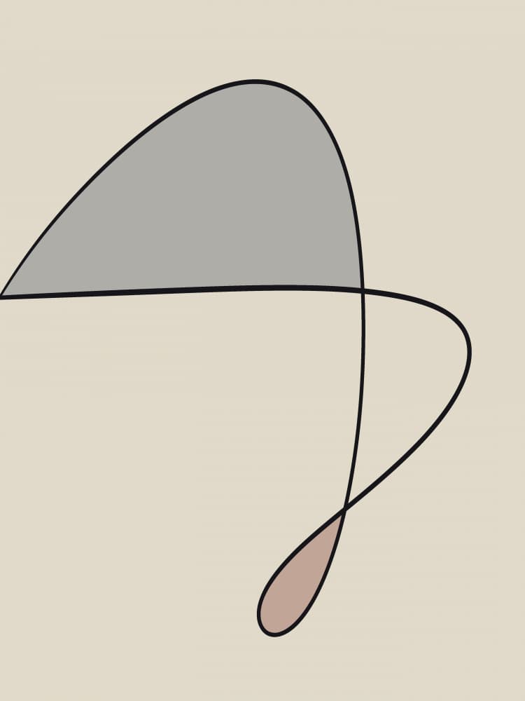 Elegant Fluid Curves by Little Dean — canvas wall art