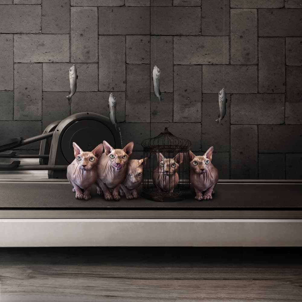 Sphinx Cats Fish Challenge by hardibudi — canvas wall art