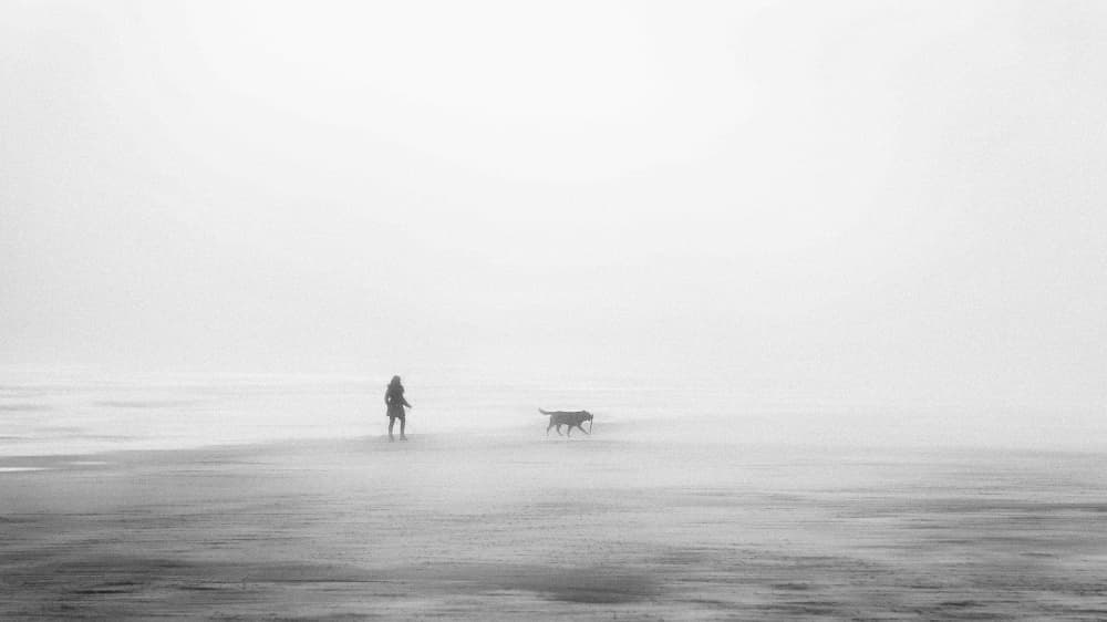 Foggy Beach Walk by Normunds Kaprano — canvas wall art
