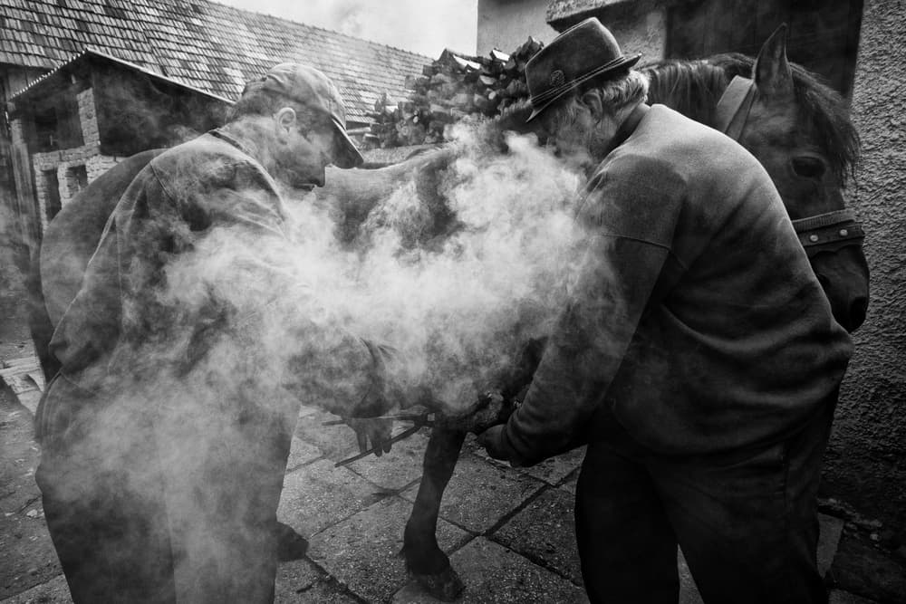 Smoky Horse Shoeing by Zoran Toldi (EFIAP AZSF) — canvas wall art
