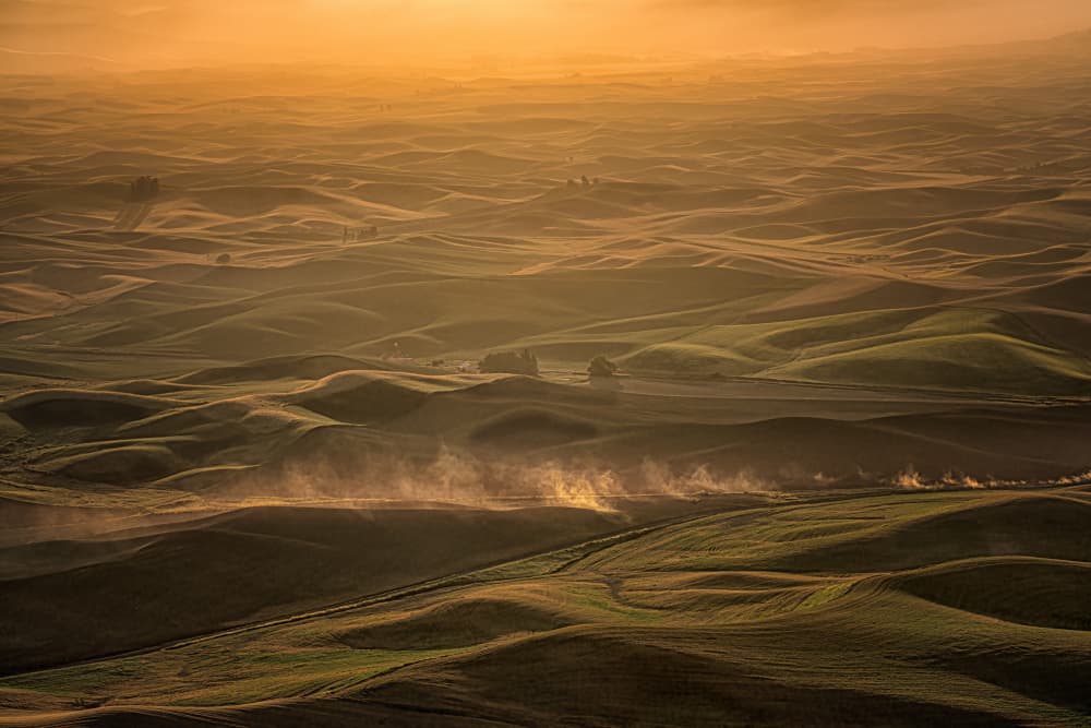 Misty Golden Hills by Ti Wang — canvas wall art