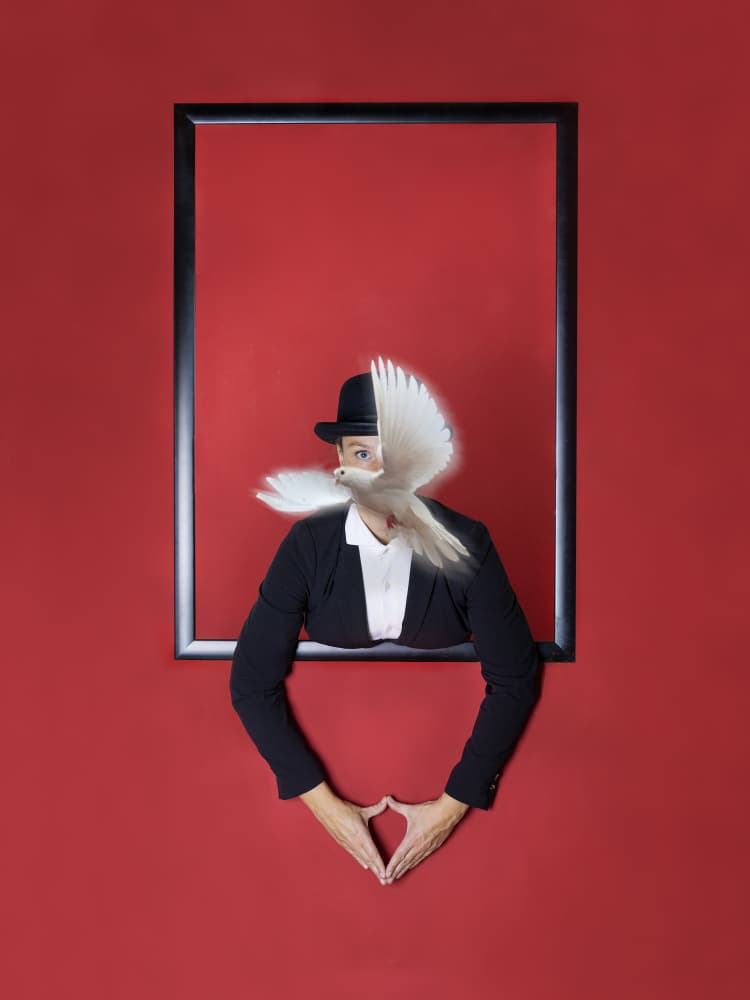 Flying Dove Illusion by Michael Allmaier — canvas wall art