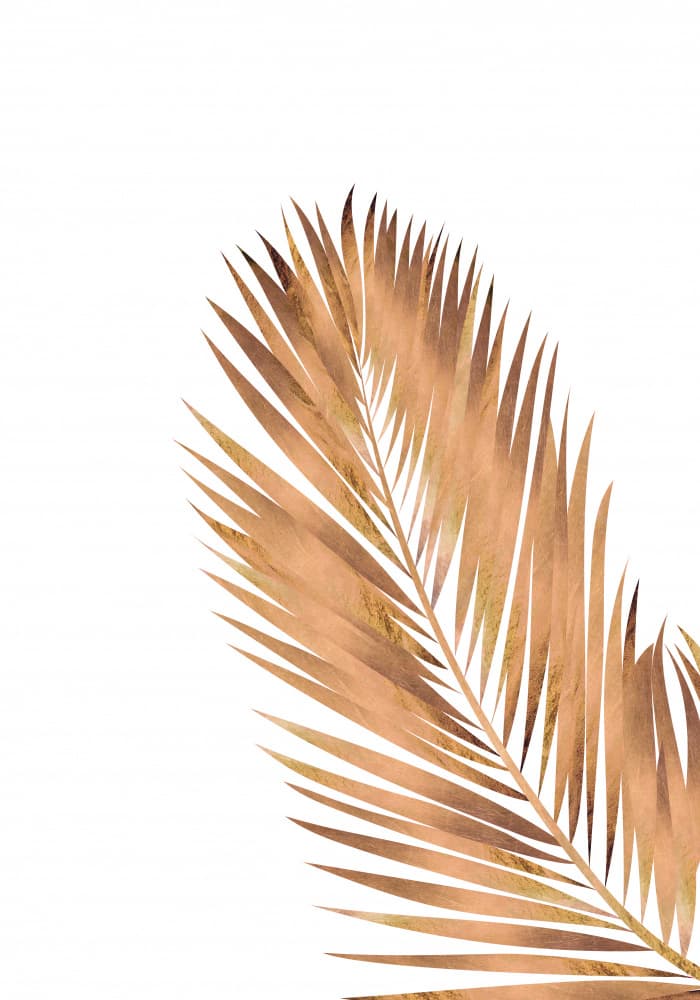 Golden Palm Leaf by Sarah Manovski — canvas wall art