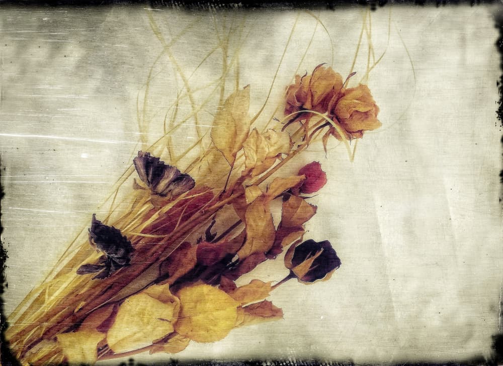 Rustic Dried Bouquet by Anna Cseresnjes — canvas wall art