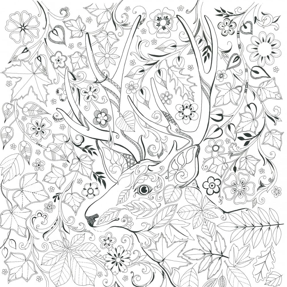 Floral Stag Harmony by Isabelle Brent — canvas wall art
