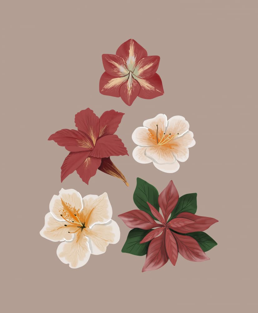 Christmas Flowers by Anis Illustration — canvas wall art