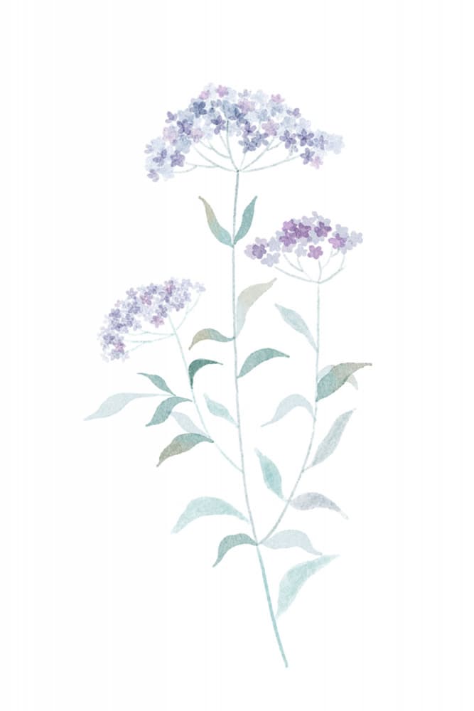 Soft Purple Watercolor Flowers by Xuan Thai — canvas wall art