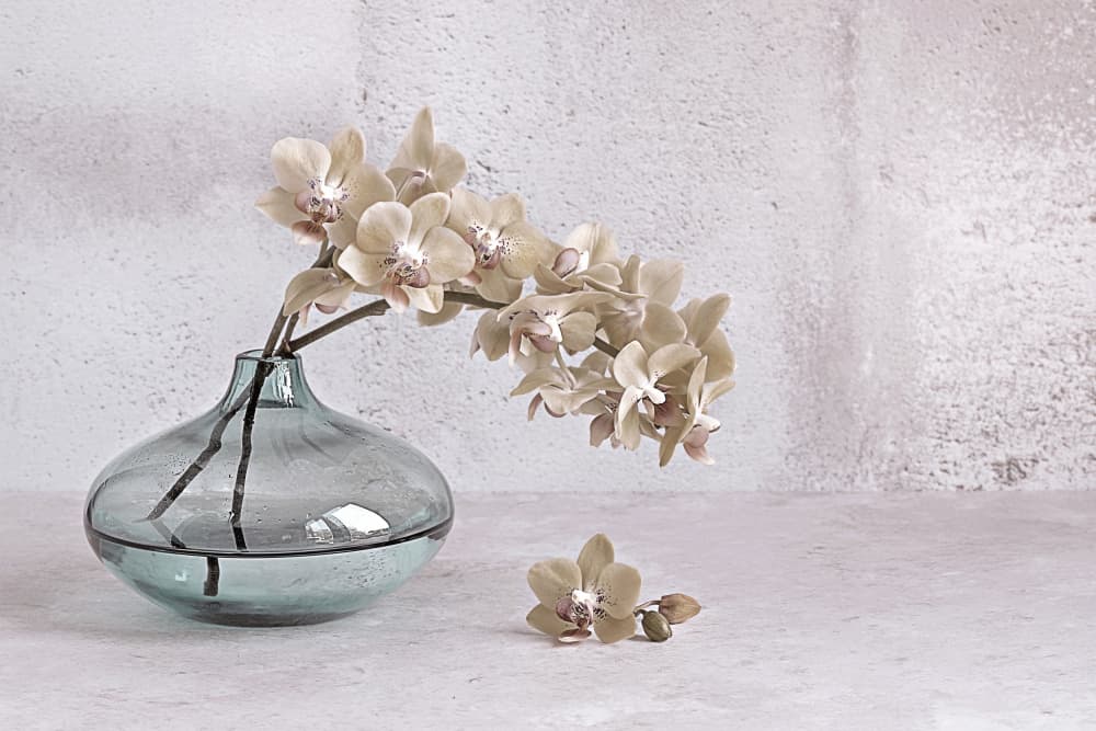 Tranquility by Jacky Parker — canvas wall art