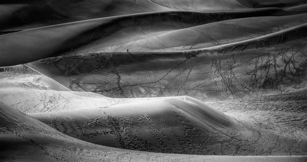 Solitary Dune Walk by Lior Yaakobi — canvas wall art