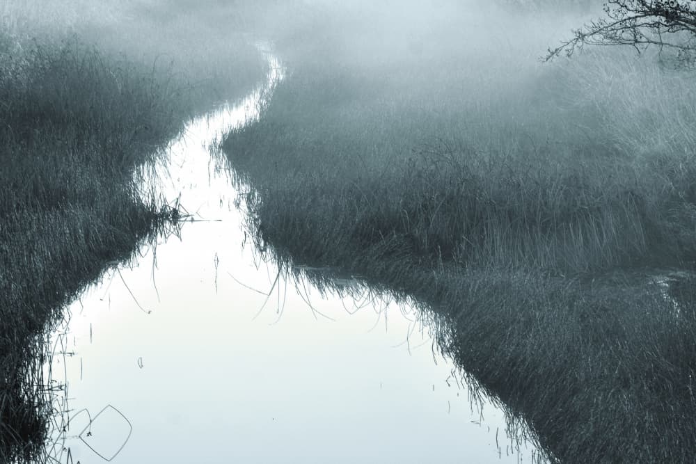 Misty Winding Stream by Christina Sillen — canvas wall art