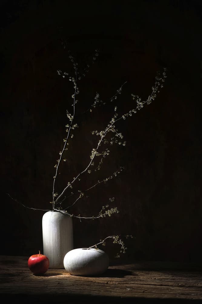 Rustic Still Life Apple by Saskia Dingemans — canvas wall art