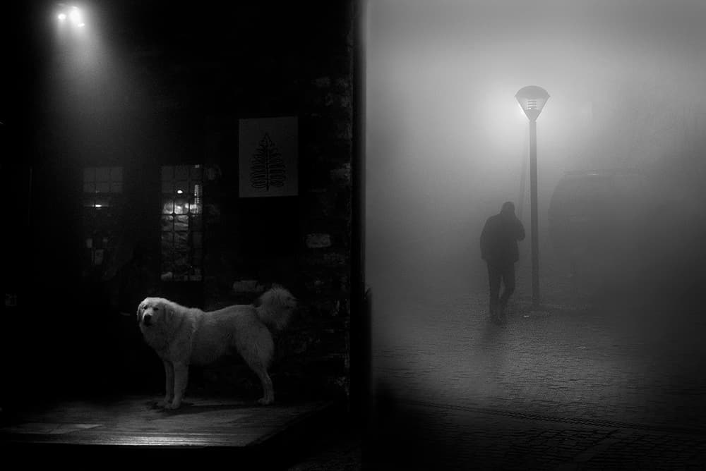 Foggy Night Dog Man by George Digalakis — canvas wall art