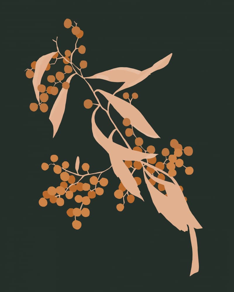 Autumn Berry Branches by Uma Gokhale — canvas wall art