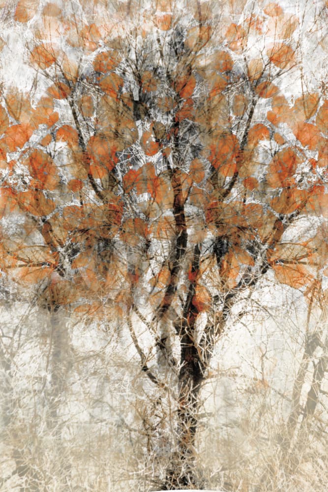 Textured Autumn Tree by Christina Sillen — canvas wall art