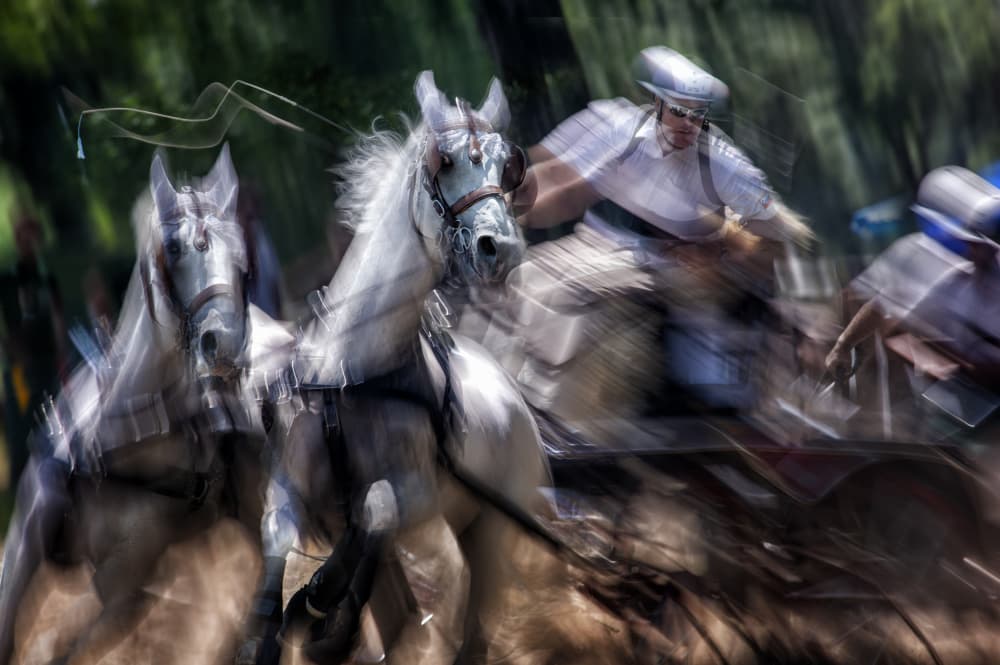 Speeding White Horses by Milan Malovrh — canvas wall art