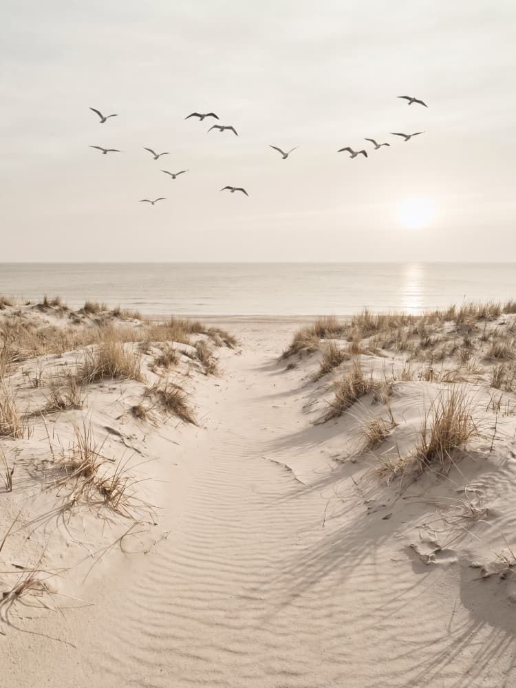 Peaceful Sandy Path by Andreas Magnusson — canvas wall art