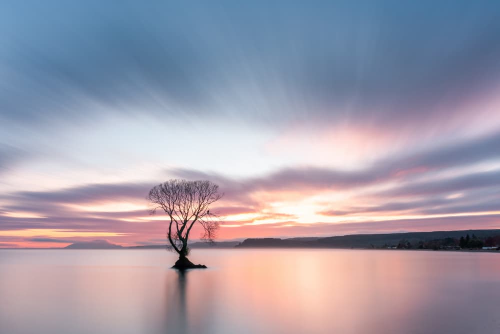 Wanaka Lone Tree Sunset by Jana Luo — canvas wall art