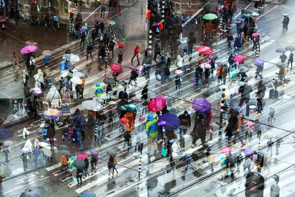 Rainy City Umbrellas by Igor Shrayer — canvas wall art