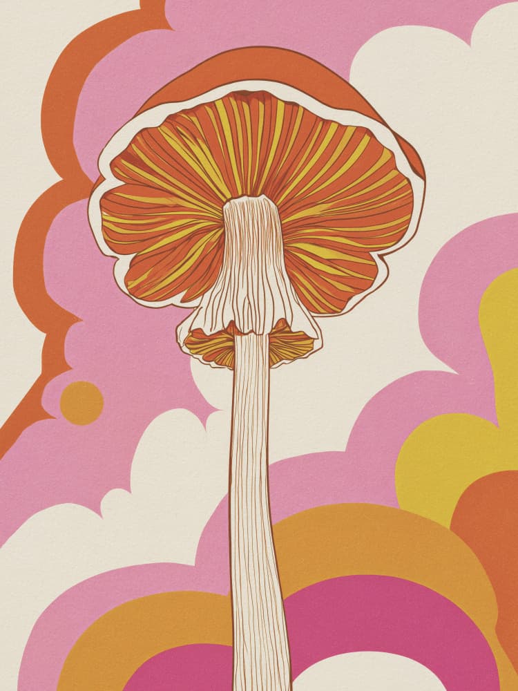 Vibrant Retro Mushroom by Andreas Magnusson — canvas wall art