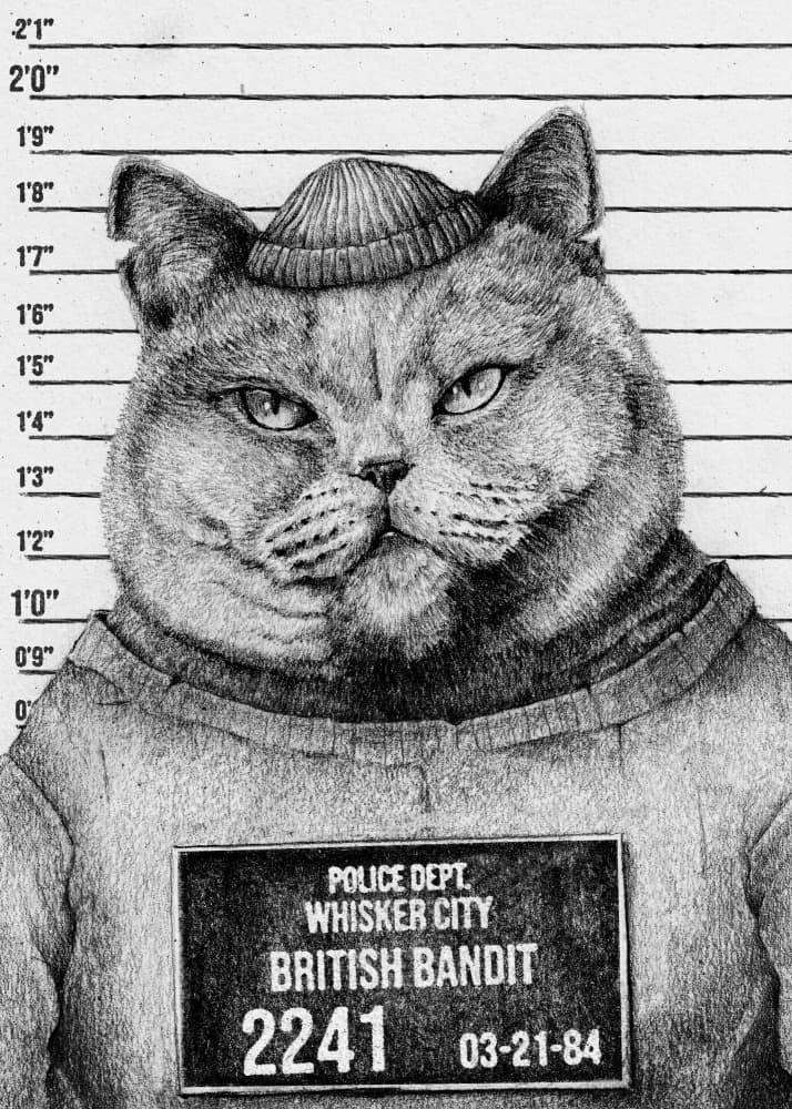 Cat In A Police Lineup by Mike Koubou — canvas wall art