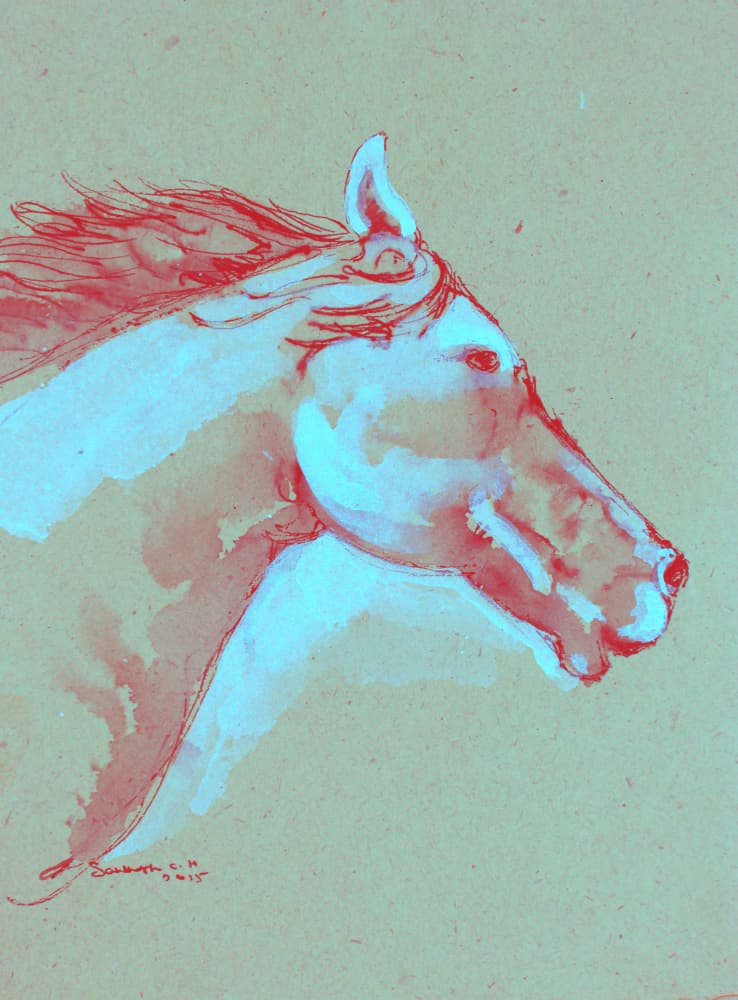 Vibrant Horse Head by Santhosh ch — canvas wall art