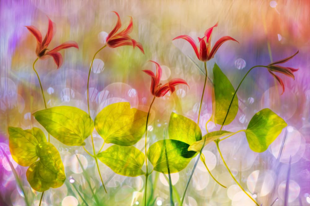 Dreamy Floral Garden by Hilda van der Lee — canvas wall art
