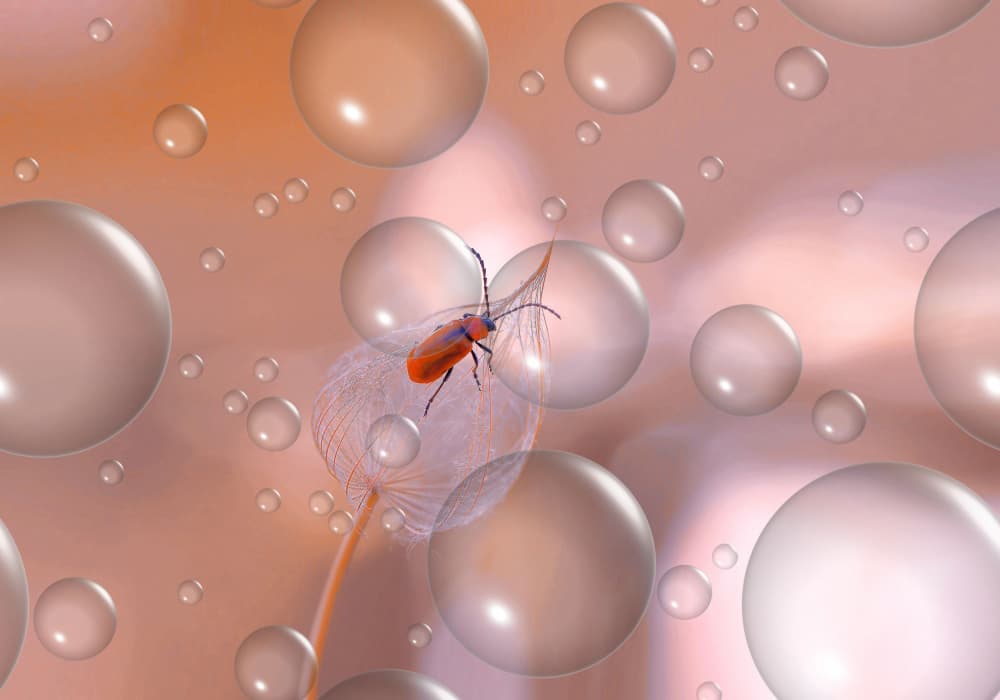Ethereal Dandelion Beetle by Thierry Dufour — canvas wall art