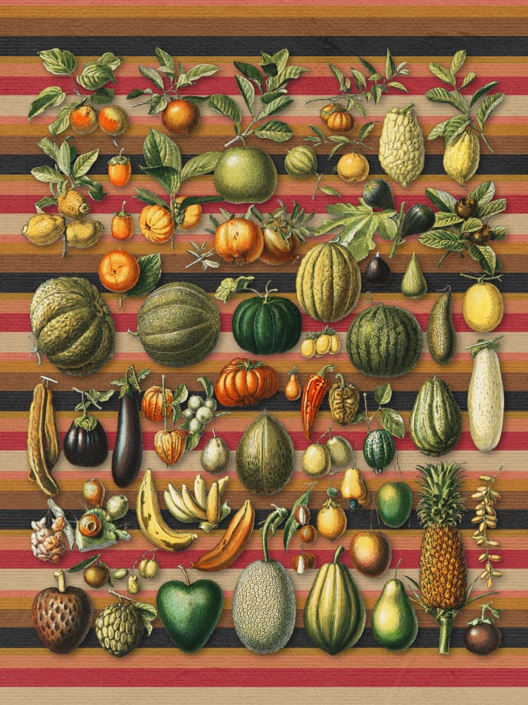 Vibrant Botanical Harvest by Marja van den Hurk — canvas wall art