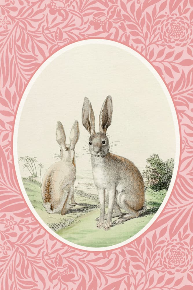 Vintage Hares Pink Botanical by Wild Violets — canvas wall art