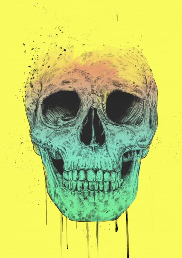 Vibrant Gradient Skull by Balazs Solti — canvas wall art