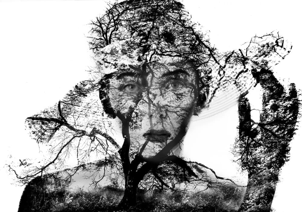 Woman Tree Fusion by Colin Dixon — canvas wall art