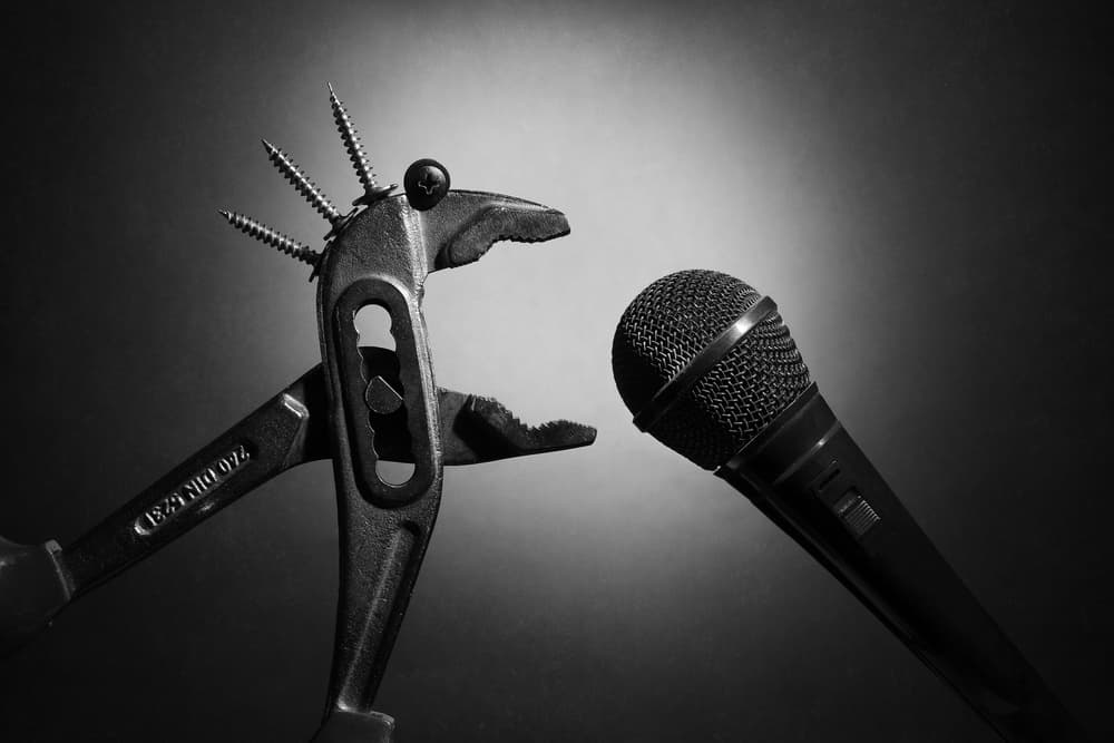Sharp Pliers Microphone by Victoria Glinka — canvas wall art