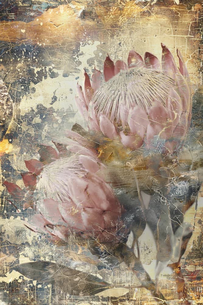 Vintage Protea Blooms by Rafal Kulik — canvas wall art