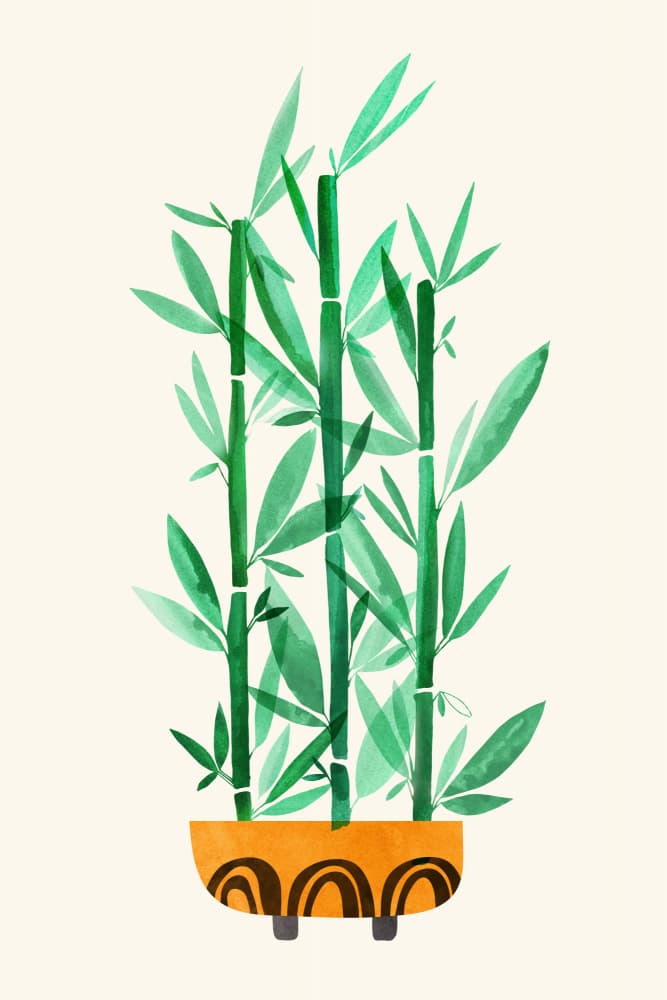 Happy Bamboo by Kristian Gallagher — canvas wall art