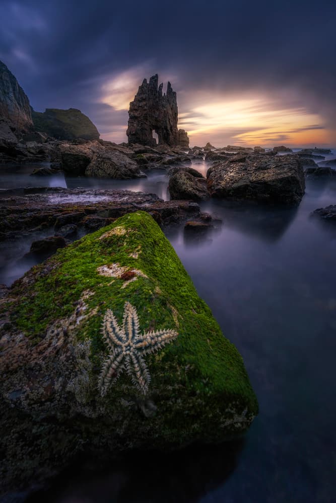 Starfish Rocky Coast Sunset by Jorge Ruiz Dueso — canvas wall art