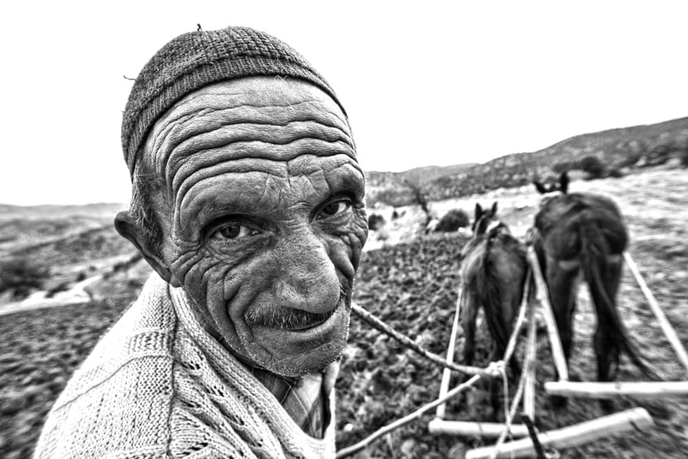 Rural Farmer's Gaze by Feyzullah Tunç — canvas wall art