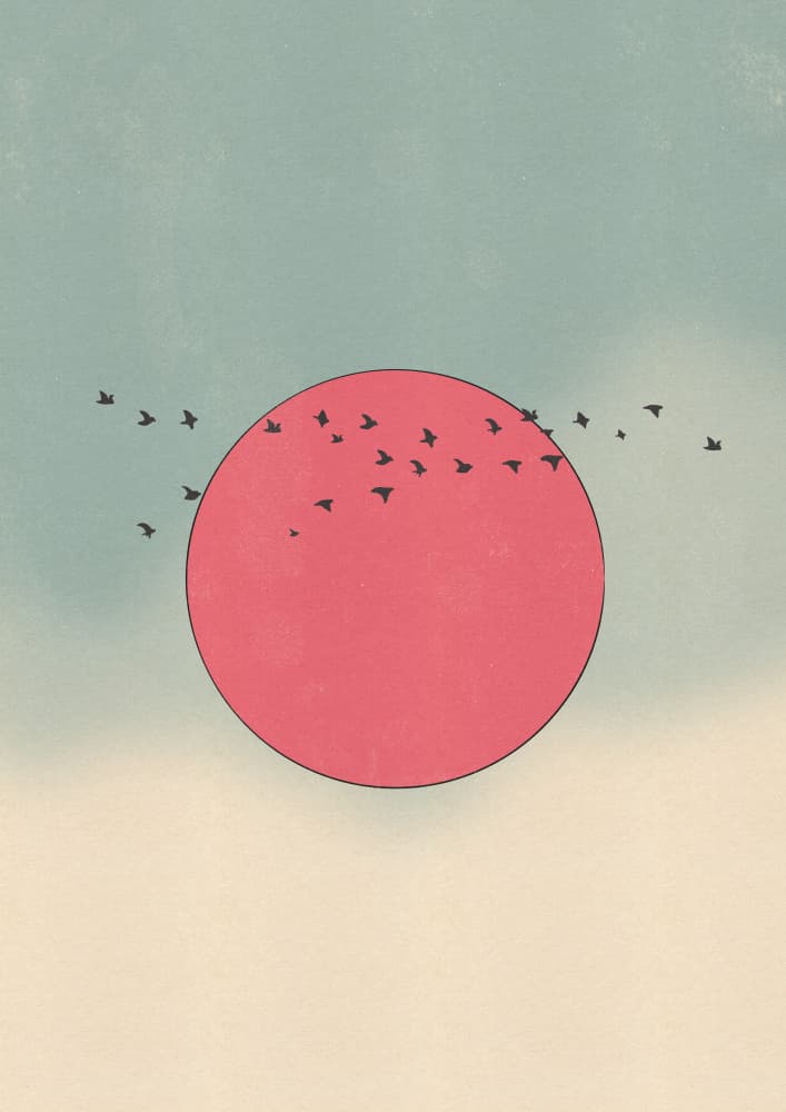 Retro Birds Over Sun by Nicholas — canvas wall art