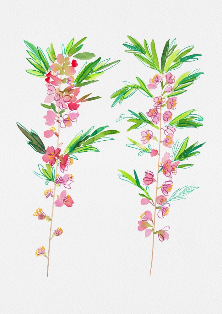 Flowering Pink Branches by Kata Botanical — canvas wall art