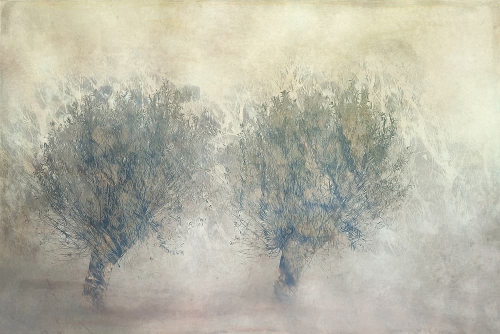 Together by Nel Talen — canvas wall art