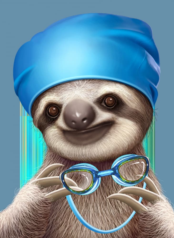 Happy Swimming Sloth by Adam Lawless — canvas wall art