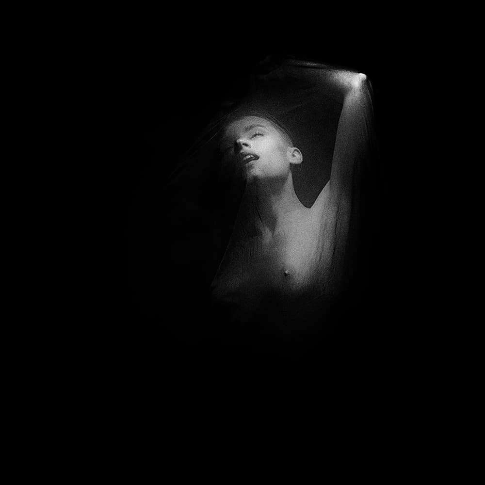 Light by Alexandra Fira — canvas wall art