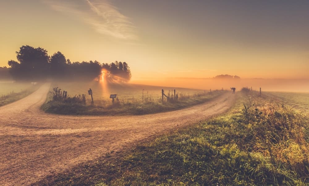 Sunrise Foggy Country Road by Carlos_Grury_Santos — canvas wall art