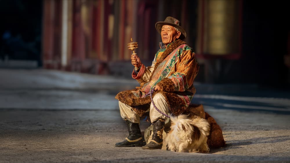 Meditative Tibetan Elder by tianhuayu — canvas wall art