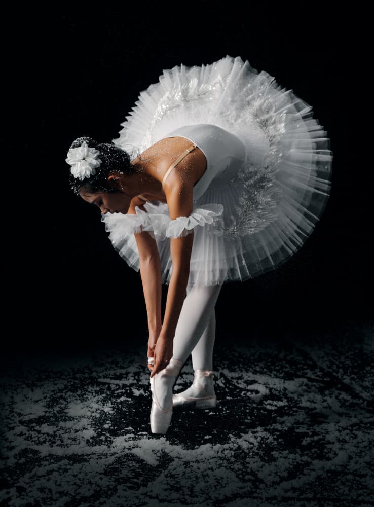 Snowy Ballerina Pointe by Bingo Z — canvas wall art