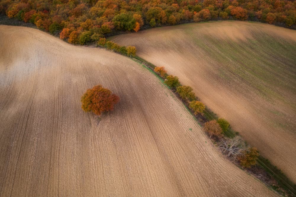 Autumn Fields and Trees by Luigi Ruoppolo — canvas wall art