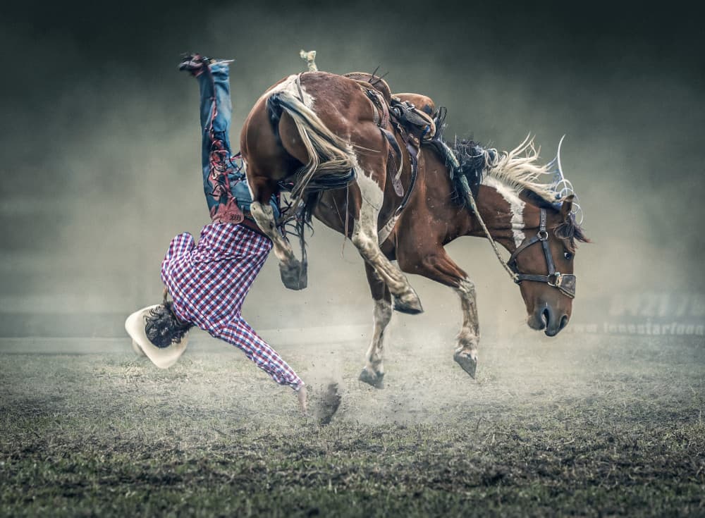 Rodeo Cowboy Falling by Frank Ma — canvas wall art