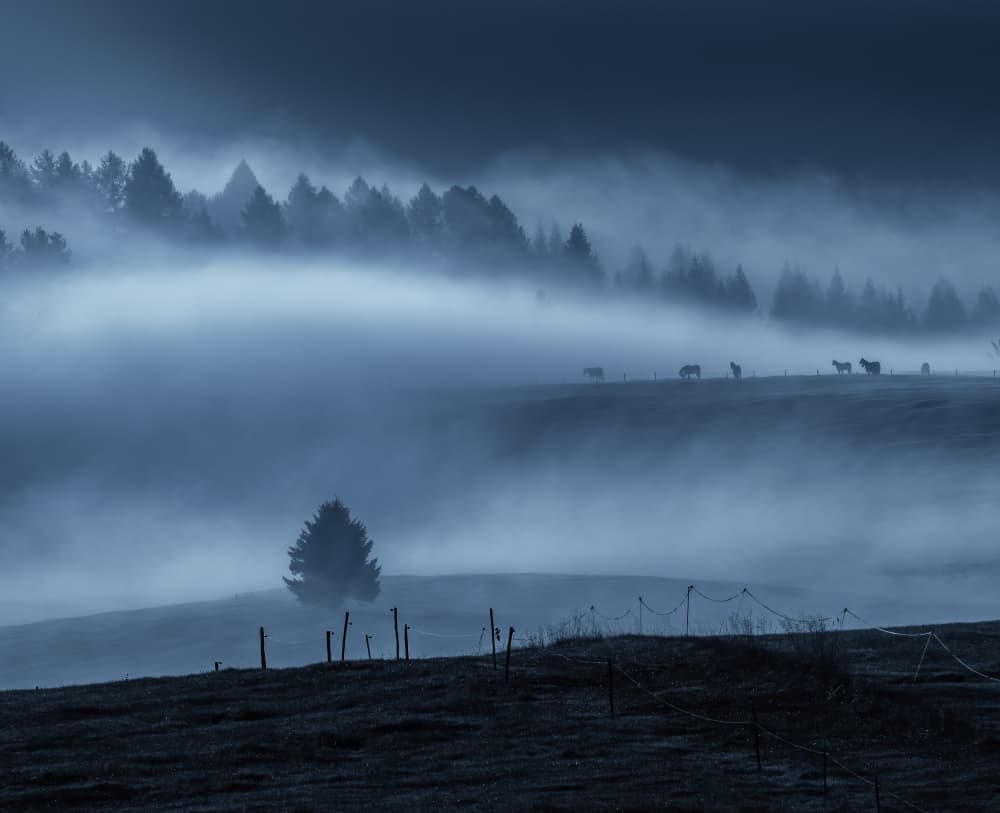 Misty Blue Landscape by Judy Tseng — canvas wall art