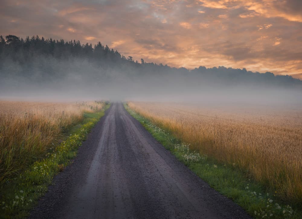 Foggy Country Road by Christian Lindsten — canvas wall art